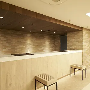 Sotetsu Fresa Ginza Sanchome 3* Tokyo
